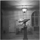 Svenska Läkaresällskapets hus i Stockholm
Interiör