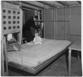 Eget hus, Lådan
Interiör, Ralph Erskine med barn som sitter på sängen