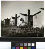 Clare Hall
Exteriör av flerfamiljshus mot Family Garden