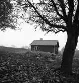 Kungsängen.
Mindre hus.
Exteriör.