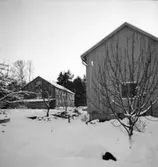 Träbyggnader
Exteriör