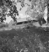 Skytteholm
Exteriör