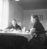 Kök
Kvinna och man dricker kaffe
Interiör