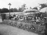 Skansen
Sollidenrestaurangen uteservering med skolbarn
Exteriör