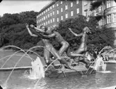 Arildfontänen med skulpturen Lekande ungdom av konstnären Axel Wallenberg
Exteriör