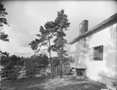 Sportstuga, Djurö
Exteriör