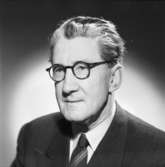 Reproduktion
Porträtt av en man