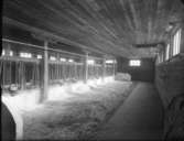 Ladugård
Interiör