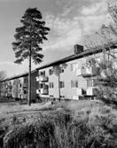 Flerbostadshus, Västertorp
Exteriör