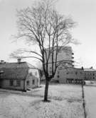 Söderhjelmska gården vid Södra Kungstensgatan i Gävle
Exteriör, äldre trähus och gammalt träd med nyare flerbostadshus i bakgrunden.