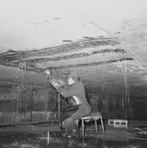 Prins Carl bottenskador