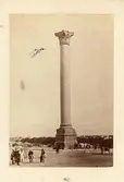 Alexandria. Pompejuskolonnen
