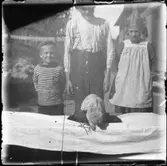 Siviken. Barn med kaniner.