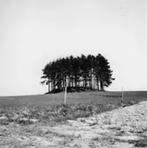 Bolstad. Kårebyhögen