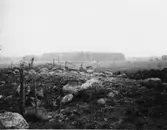 Brålanda, Stensamling.