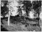 Dals-Ed, Fornlämningsplats