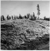 Dals-Ed, Karl XII:s skansar