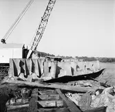 Psk. Sverige skrotning