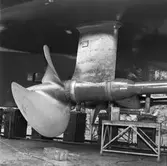 Jag Uppland foto för modell tillverkning