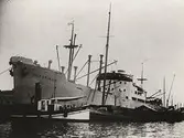 Lastmotorfartyget FREDRIKA av Stockholm. Lossning av trä i Buenos Aires.