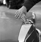 Mercedes Benz nya godkända kylarmärke i januari 1960