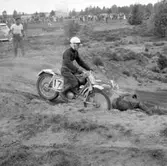 Motocross i Grunnebo sydväst om Vänersborg i maj 1960