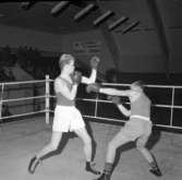 En torsdag i boxningens tecken