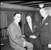 Tjänstemannaföreningen