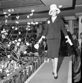 Mannekänguppvisning