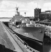 Älvsnabben i oscardockan