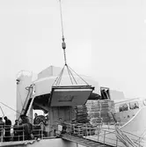 Älvsnabben lastning av agg.