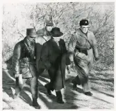 Några herrar vandrar längs en grusväg. I mitten landshövding Thorwald Bergquist och t.h. kommissarie Sture Sandell. De övriga okända.
Spaning efter 