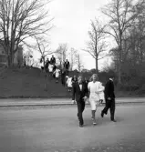 Tredje dagens studenter, 1944.
Studenter, uppklädda i smoking och vita klänningar, på väg ner från
Museiparken till dåv. Växjö Högre Allmänna Läroverk. 
I bakgrunden skymtar Smålands museum.