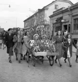 Tredje dagens studenter, 1944.
En kvinnlig student körs iväg längs Storgatan av sina kamrater. Till höger
syns bl.a. Lindgren & Brandts affär på Storgatan.