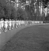 Gymnastiken 1944.
Inmarsch av gymnaster på Värendsvallen.