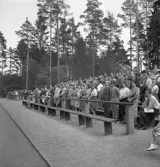 Gymnastiken 1944.
Publikbild vid inmarschen på Värendsvallen.