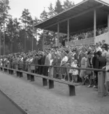 Gymnastiken 1944.
Publikbild vid inmarschen på Värendsvallen. På hedersläktaren skymtar en man vid mikrofonen.