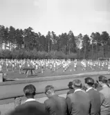 Gymnastiken 1944.
Gymnastikuppvisning (truppgymnastik) av yngre, manliga gymnaster. 
Fotot taget från publikläktaren.