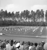 Gymnastiken 1944.
Gymnastikuppvisning (truppgymnastik) av kvinnliga gymnaster.
Fotot taget från publikläktaren.
