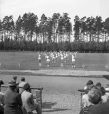 Gymnastiken 1944.
Gymnastikuppvisning (truppgymnastik) av manliga gymnaster.
Fotot taget från publikläktaren.
