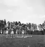 Gymnastiken 1944.
Gymnastikuppvisning på bommar av manliga gymnaster.