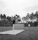 Gymnastiken 1944.
Gymnastikuppvisning på plint av några kvinnliga gymnaster.