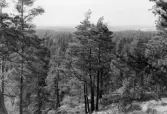 Utsikt från Tarsta borg i Sköllersta, 1964