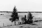 Utsikt från Lekebacken i Hjortsberga i Kumla, 1964