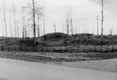 Järnåldersgravar i Fjugesta, 1964