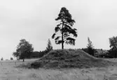 Södra kungshögen vid Kånsta i Sköllersta, 1964