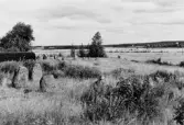 Domarringen vid Norrby i Hallsberg, 1964