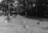 Domarringar och gravfält vid Ånne brunn i Viby, 1964