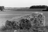 Åsby-stenen i Stora Mellösa, 1964