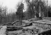 Riseberga klosterruin i Edsberg, 1964